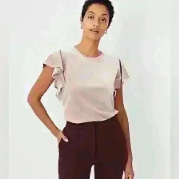 NWT Ann Taylor flutter sleeve crew neck pullover velvet top - Picture 1 of 9